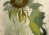 Sunflower Grey and Green