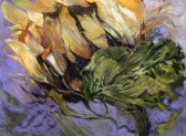 Sunflower Head VIII