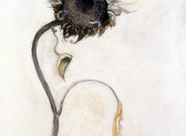 Sunflower #3