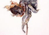 Sunflower #5